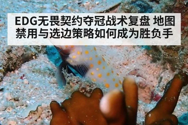 EDG无畏契约夺冠战术复盘 地图禁用与选边策略如何成为胜负手